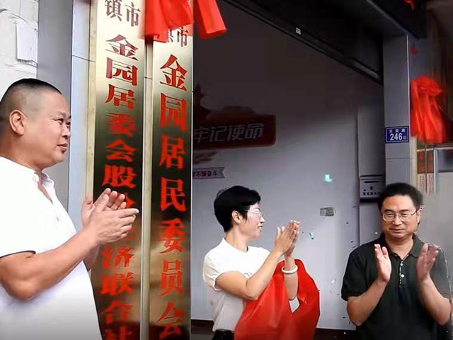 金園股份，高科技領(lǐng)域的璀璨新星——股票投資新選擇